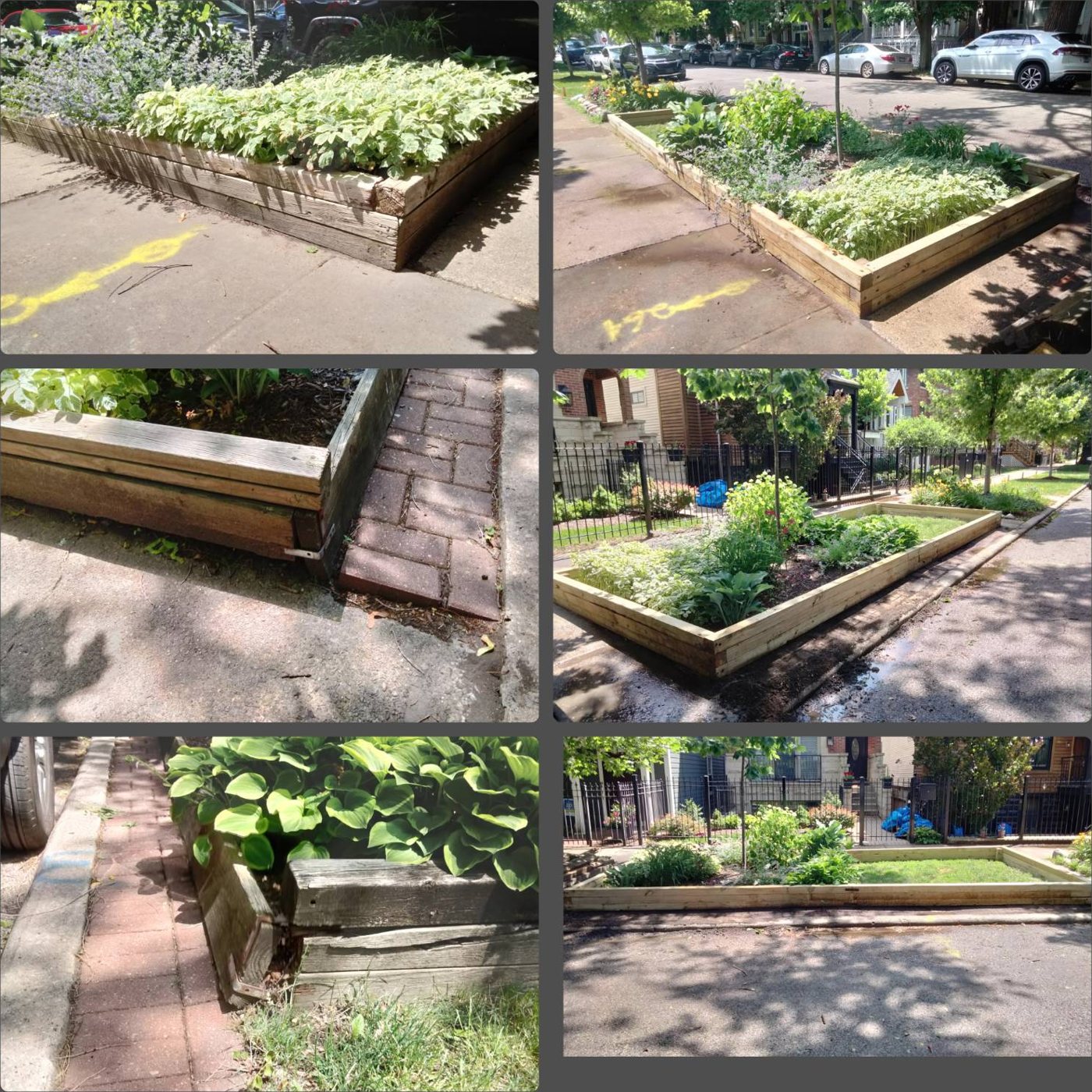 Raised garden bed frame replaced